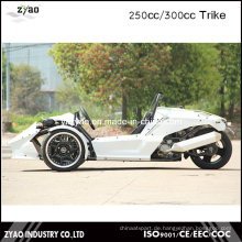 EWG 250ccm China Roadster Trike 3 Wheeler